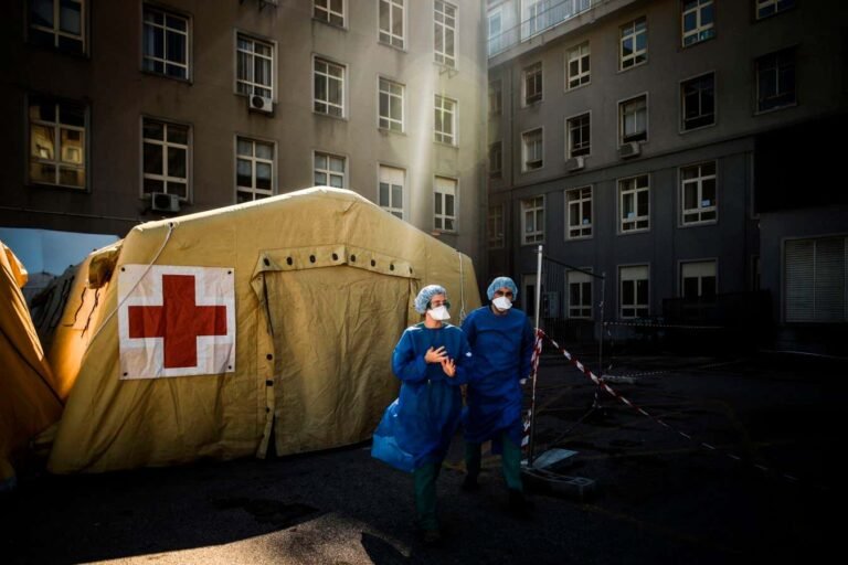 Fascinating but flawed book explores how sickness shapes our lives